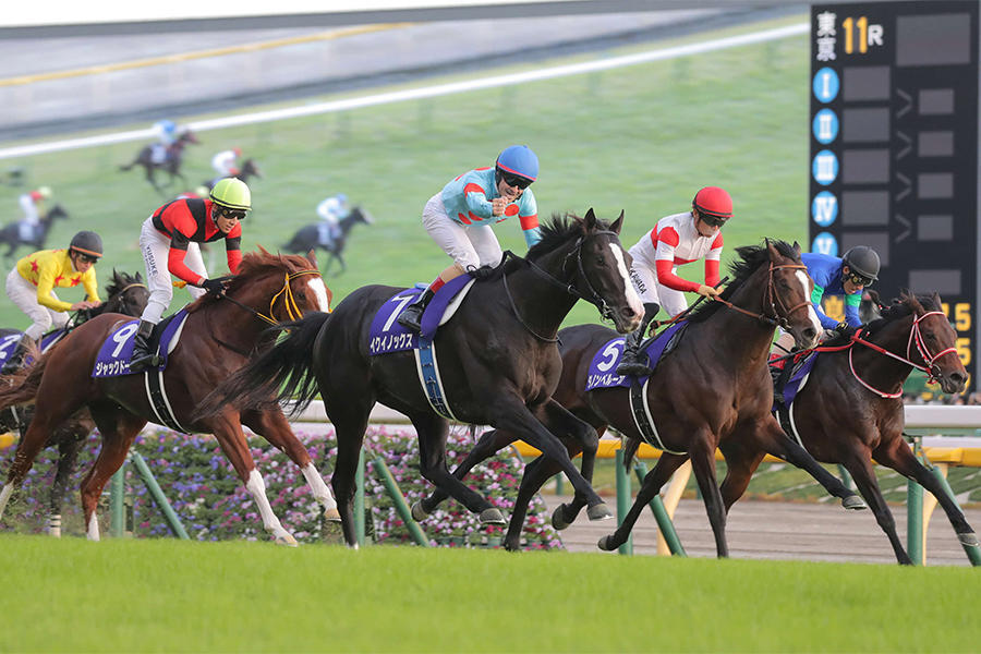 ジャパンC みどころ】「本当の1番を決めよう」世界最強馬イク
